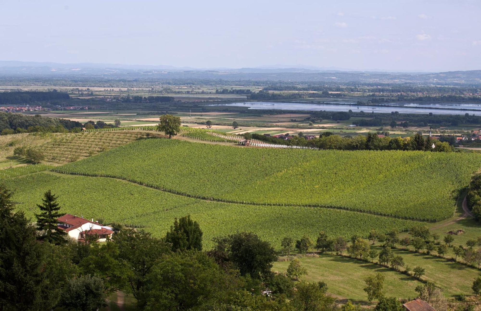 Stupnicki Dvori Winery Hotel Stupnik Brodski Εξωτερικό φωτογραφία