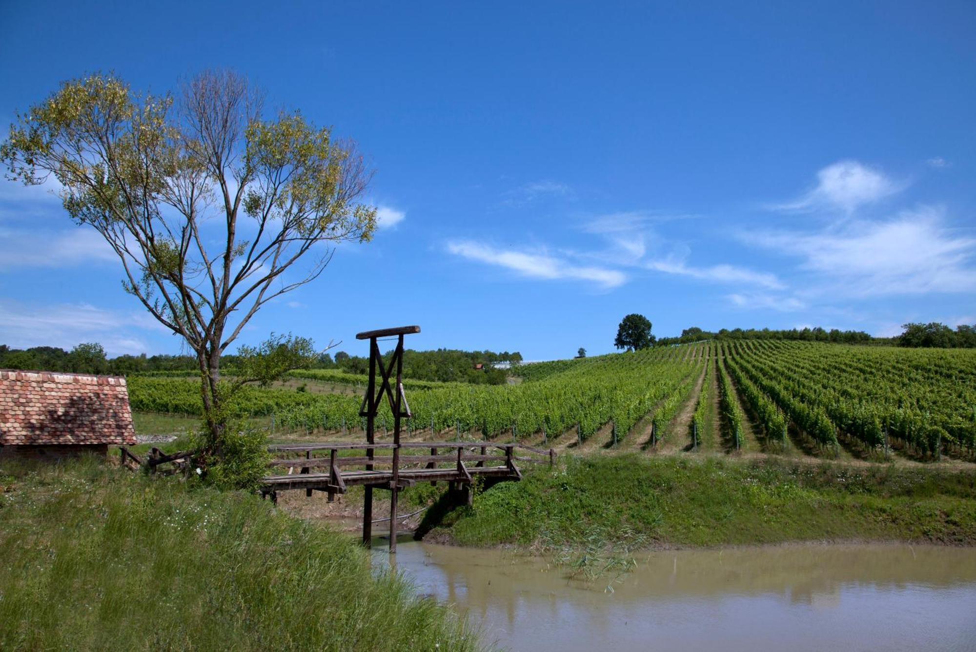 Stupnicki Dvori Winery Hotel Stupnik Brodski Εξωτερικό φωτογραφία