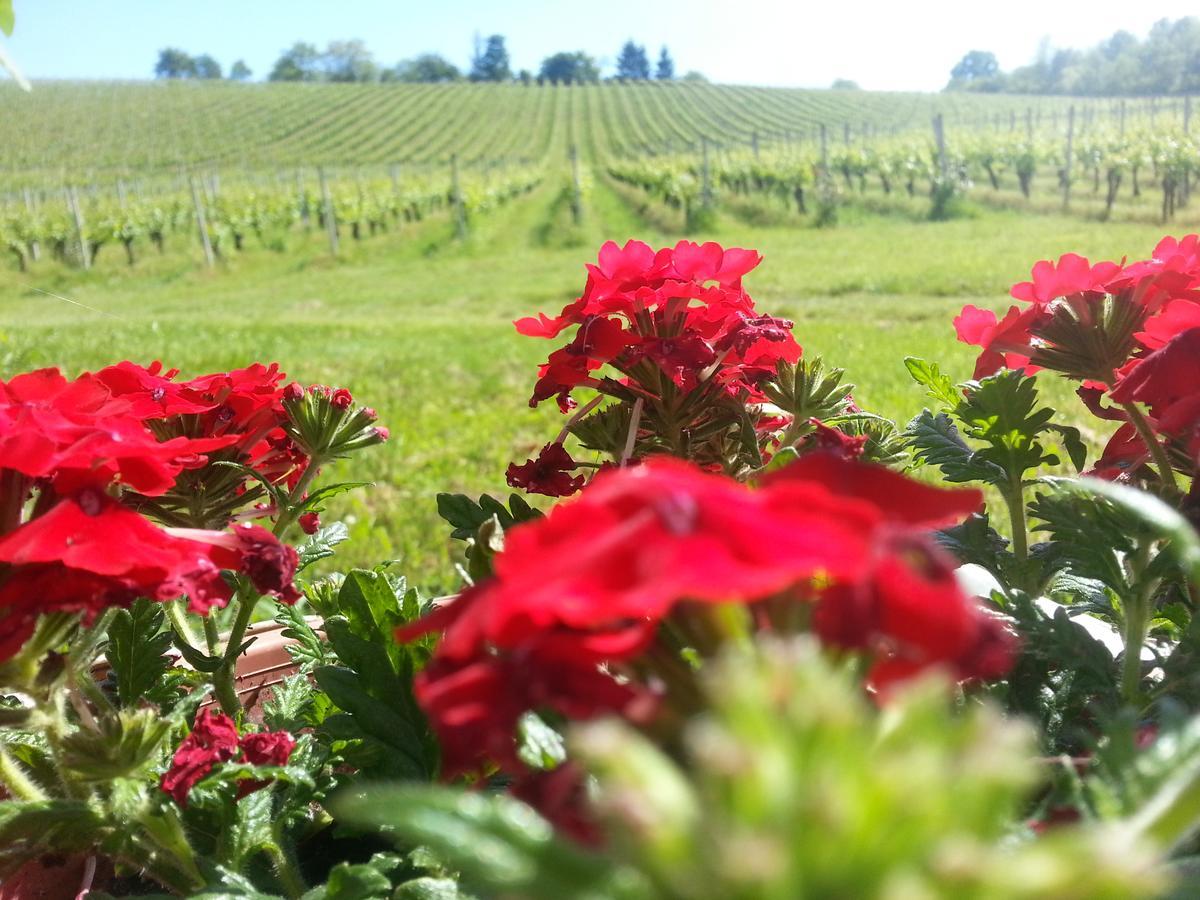 Stupnicki Dvori Winery Hotel Stupnik Brodski Εξωτερικό φωτογραφία